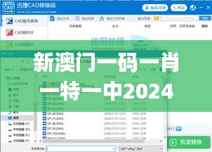 新澳门一码一肖一特一中2024高考,迅捷解答策略解析_FHD3.945