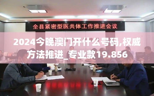 2024今晚澳门开什么号码,权威方法推进_专业款19.856