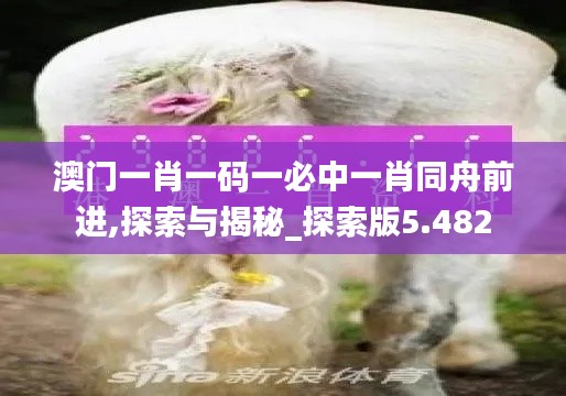 澳门一肖一码一必中一肖同舟前进,探索与揭秘_探索版5.482