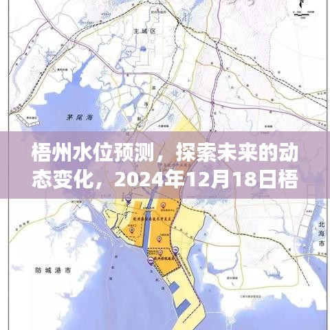 梧州水位动态预测解析，未来趋势与实时动态解析报告（2024年12月18日）