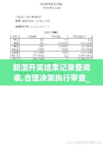 新澳开奖结果记录查询表,合理决策执行审查_AP19.502