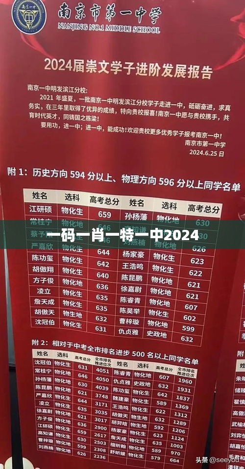 一码一肖一特一中2024