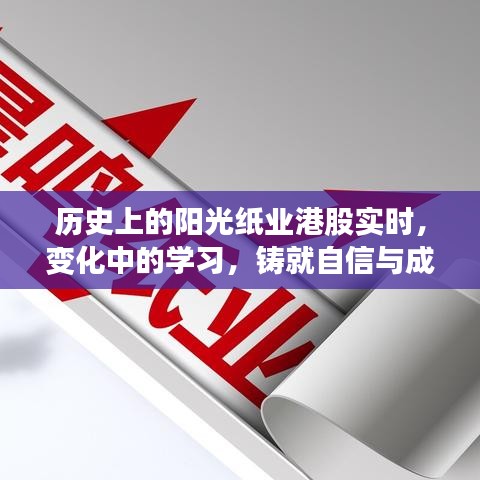 阳光纸业港股历程，学习铸就自信与成就之路