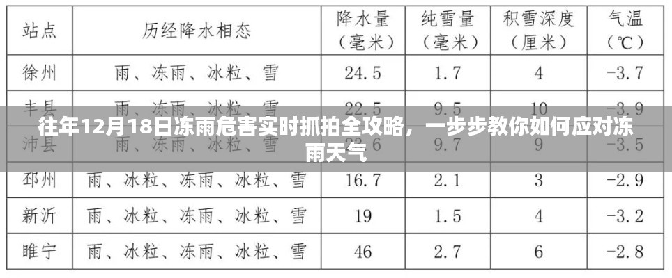 应对冻雨天气的全攻略，实时抓拍往年冻雨危害，教你如何应对冻雨天气挑战