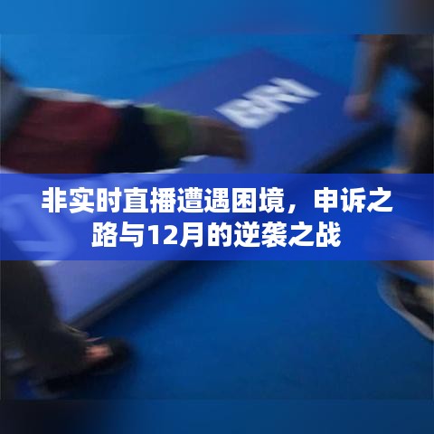 非实时直播面临困境，申诉之路与逆袭之战（12月决战）