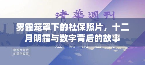 社保照片下的雾霾十二月，数字背后的隐秘故事