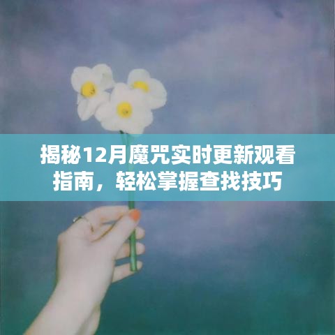 揭秘12月魔咒，最新实时观看指南与查找技巧全解析
