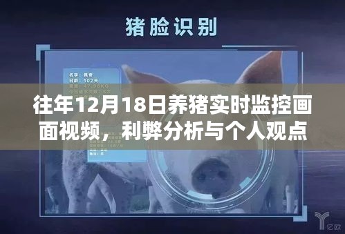 养猪实时监控画面视频，利弊分析与个人观点分享