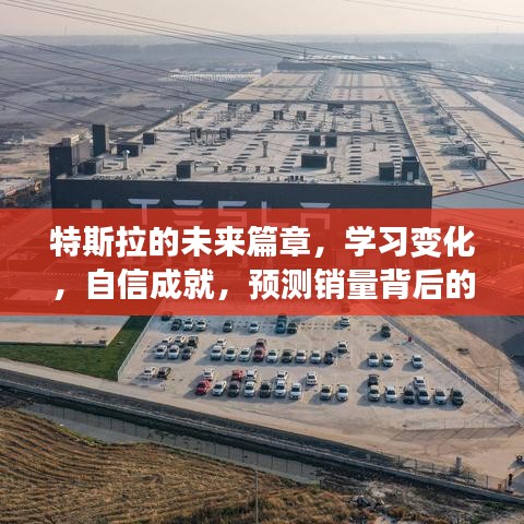 特斯拉未来展望，励志故事中的学习、自信与销量预测背后的成就