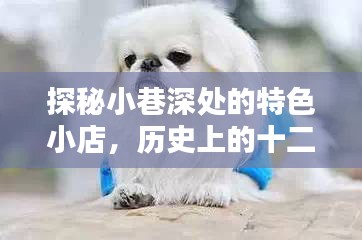 探秘小巷深处的特色小店，十二月十八日名狗大揭秘的历史之旅