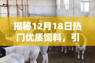 揭秘引领养殖业革新的优质饲料，引领潮流的革新之选（12月18日）