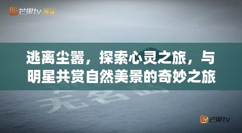 心灵启程，与明星共赏自然美景的奇妙心灵之旅