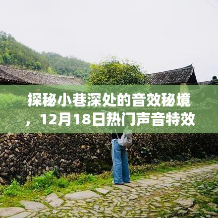 探秘小巷深处的音效秘境，热门声音特效之旅，12月18日开启！