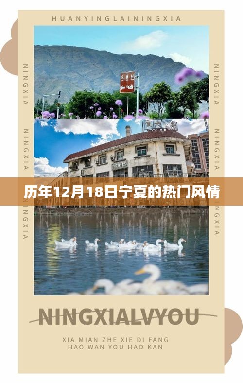 历年12月18日宁夏风情盛事概览