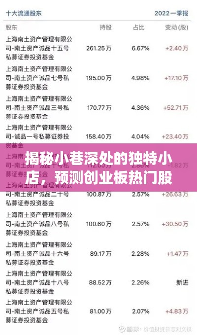 探索隐秘小巷的独特小店，揭秘创业板未来热门股票之星