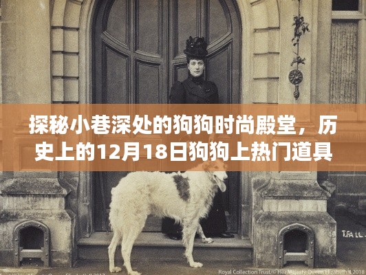 子母门 第22页