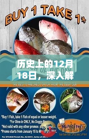 历史上的12月18日，深度探讨鱼的热门话题英语产品解析