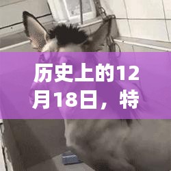 九死一生