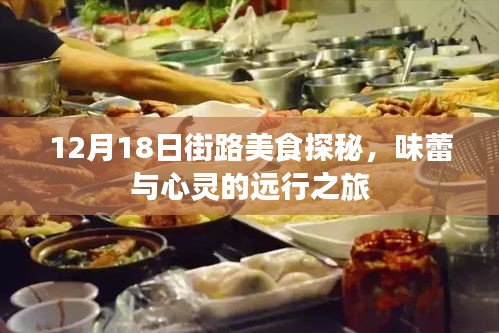 12月18日街路美食探秘，味蕾与心灵的盛宴之旅