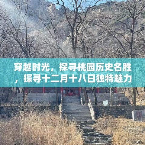 对开门 第13页