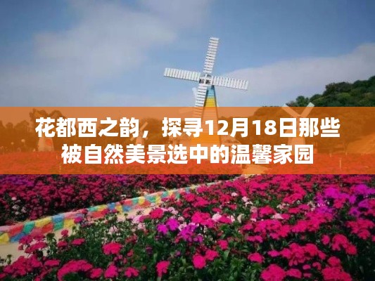天南地北