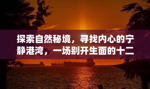 十二月BBIN之旅，探寻自然秘境，寻找内心宁静港湾