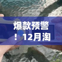 爆款来袭！12月淘宝最热门商品独家揭秘