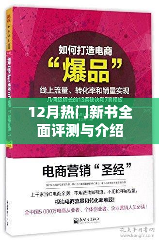 12月热门新书全面测评与介绍，不容错过的阅读指南