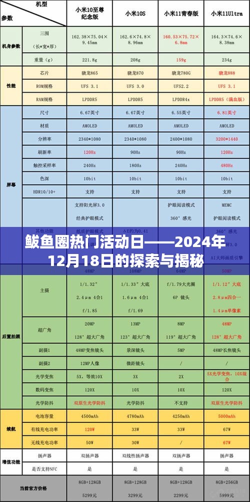 鲅鱼圈热门活动日探索与揭秘，2024年12月18日精彩纷呈