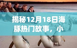 揭秘海豚热门故事与小巷特色小店的奇遇，12月18日探秘之旅