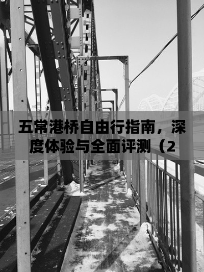 五常港桥自由行指南，深度体验与全面评测（最新2024版）