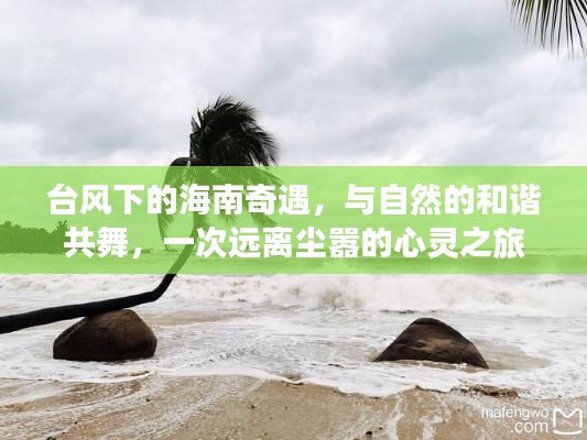 台风下的海南奇遇，与自然共舞的心灵之旅