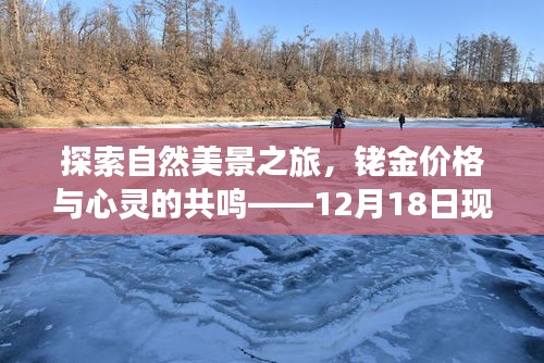 自然之旅与铑金价格的心灵共鸣，现货铑金价格解读报告