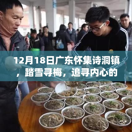 广东怀集诗洞镇踏雪寻梅之旅，追寻内心的宁静